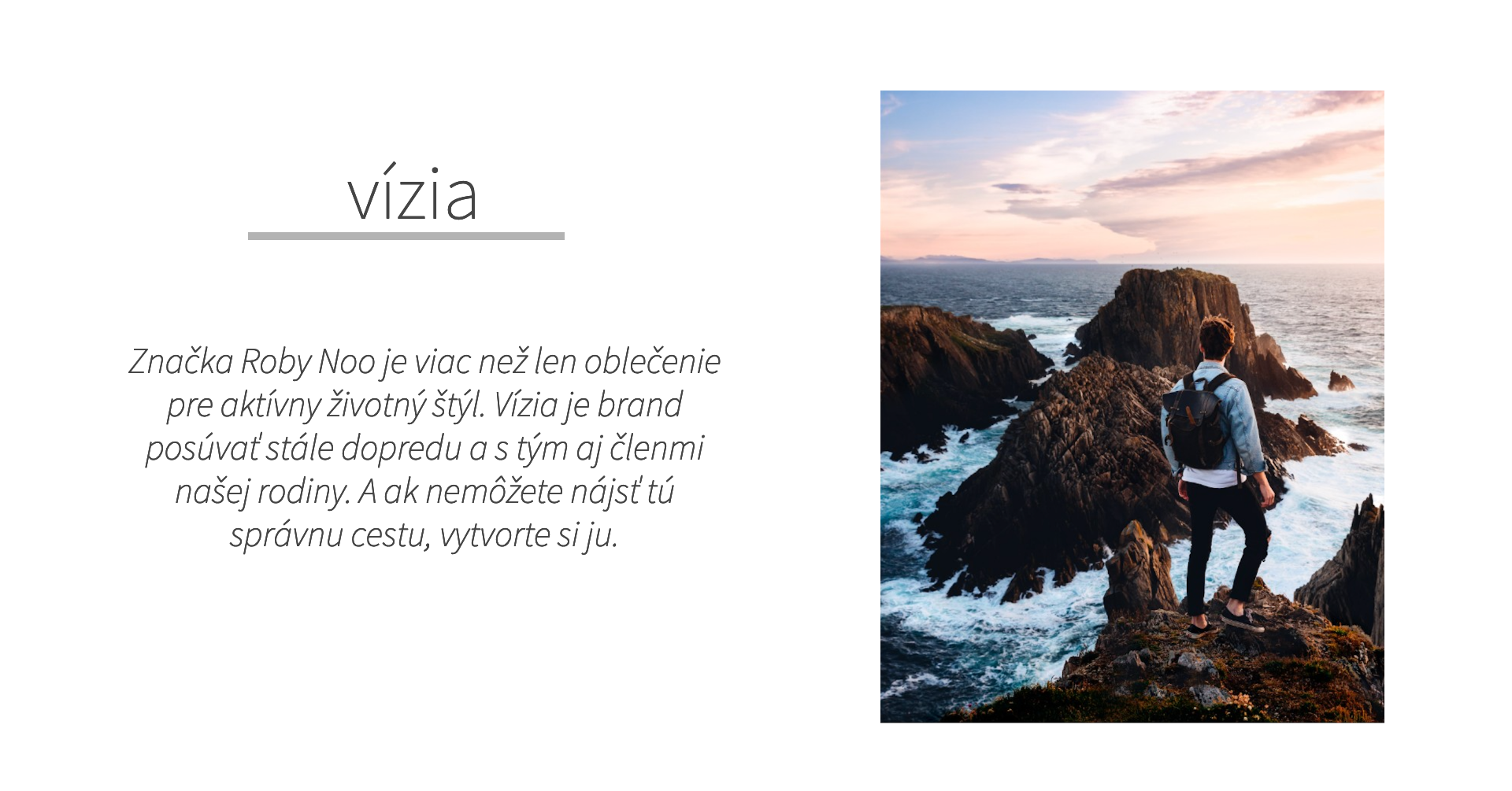 Vize SK
